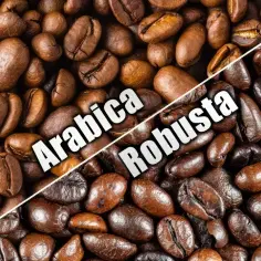 Zbliżenie na ziarna kawy. Po lewej stronie tekst "Arabica", po prawej "Robusta". Różnica między kawą ziarnistą arabica a robusta w zakupach.