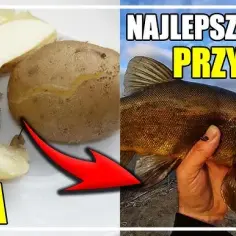 Skuteczne domowe przynęty na ryby - tanie przepisy, które działają