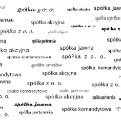 Różne rodzaje spółek: jawna, akcyjna, z o.o., komandytowa, cywilna, partnerska.