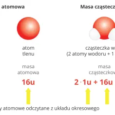 Porównanie mas: atom wodoru (1u), atom tlenu (16u) i cząsteczka wody (18u), ilustrujące obliczanie masy cząsteczkowej.