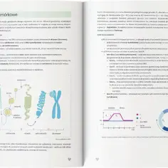 Ilustracja przedstawia etapy upakowania DNA w chromosom, od helisy DNA do chromosomu, oraz schemat cyklu komórkowego. To fragment materiałów do nauki "biomedica zbiory zadań".