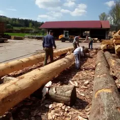 Pracownicy na placu tartacznym przygotowują drewno. Widać stosy okorowanych bali i ludzi pracujących przy nich. To miejsce, gdzie powstaje narzędzie do korowania.