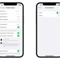 Ustawienia iPhone: jak wyłączyć wibracje w iPhone. Ekran "Czucie klawiatury" pokazuje opcje dźwięku i haptyki.