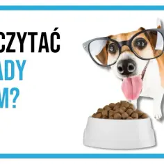 Etykiety karm dla psów: Demaskujemy sekrety składu!