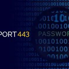 Co to jest port 443? Pod lupą widać hasło i ciągi zer i jedynek, symbolizujące bezpieczeństwo transmisji.