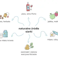 Naturalne źródła siarki: piwo, wino Porto, jabłka, maliny, mięso, ryby, jaja, ziemniaki, warzywa liściaste, mleko krowie, kawa, herbata.