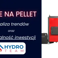 Czy będą dopłaty do pelletu? Sprawdź, co przyniesie przyszłość
