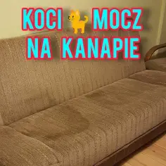 Jak wyprać kanapę z moczu i skutecznie usunąć zapach oraz plamy