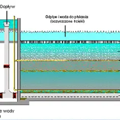 Jak działa oczyszczalnia ścieków? Proces oczyszczania krok po kroku wyjaśniony