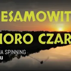 Jezioro Czarne Sosnowickie - odkryj jego tajemnice i atrakcje