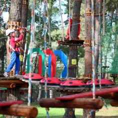 Czy Julinek park linowy to raj dla małych i dużych śmiałków?