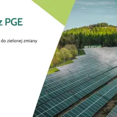 DSR z PGE: dołącz do zielonej zmiany. Ogromne pole paneli słonecznych na tle zielonego lasu.