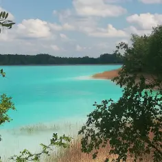 Turkusowe jezioro koło Konina, otoczone lasem i trzcinami, z gałęziami drzew na pierwszym planie.