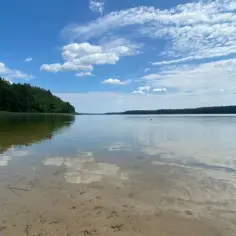 Spokojne jezioro Piłakno otoczone lasem, z piaszczystym dnem widocznym pod przejrzystą wodą.