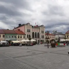 Spacer po żywiec rynek z psem. W tle kamienice i kawiarniane ogródki.