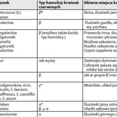 Tabela klasyfikuje paciorkowce według grup Lancefield, gatunków, typu hemolizy i miejsc kolonizacji.