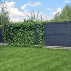 Czym zakryć ogrodzenie z siatki, aby zyskać prywatność i styl?