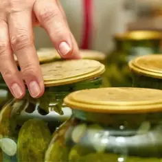 Dłoń zamyka słoik z ogórkami kiszonymi. Gorczyca dodana do ogórków kiszonych nadaje im charakterystyczny smak i aromat.