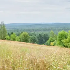Czy Ty znasz te 7 fascynujących ciekawostek o Wyżynie Lubelskiej?
