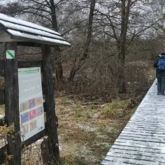 Kampinos atrakcje: Odkryj ukryte skarby parku narodowego