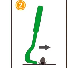 Instrukcja użycia kleszczołapki: 1. Nasuń narzędzie na kleszcza. 2. Przesuń kleszczołapkę do przodu. 3. Obróć, by usunąć kleszcza.