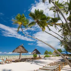 Rajska plaża z palmami i leżakami. Marzysz o podróży? Sprawdź, ile trwa lot z Gdańska na Zanzibar!