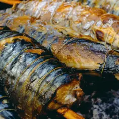 Rzędy wędzonych makreli na patykach. Czy makrela wędzona jest zdrowa? To pyszna przekąska, bogata w kwasy omega-3.