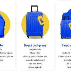 Ile można wziąć bagażu na pokład samolotu? Odpowiadamy: mała torba, bagaż podręczny (do 10 kg) i rejestrowany (do 23 kg).