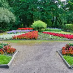 Ogród Botaniczny Zabrze: Zaplanuj wizytę! Godziny, bilety, atrakcje