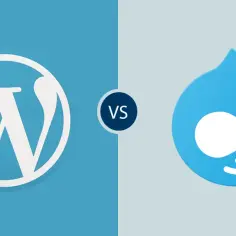 Drupal czy WordPress - który CMS naprawdę spełni Twoje oczekiwania?
