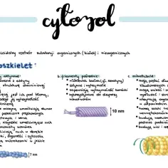 Cytoszkielet komórki: filamenty aktynowe, pośrednie i mikrotubule. Wymień organelle komórkowe.