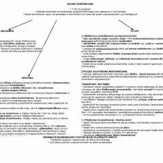 Budowa komórek eukariotycznych: błona komórkowa, jej składniki (białka, lipidy, cholesterol, glikolipidy), budowa (dwuwarstwa fosfolipidów, białka) i cechy (przepuszczalność, transport, elastyczność).