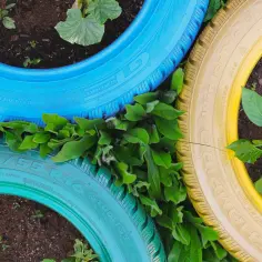 Co zrobić z opon: 7 kreatywnych pomysłów na recykling w ogrodzie