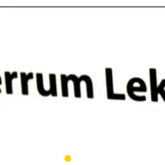 Napis "Ferrum Lek" z symbolem ®. Ten lek jest często stosowany w leczeniu niedoboru żelaza.