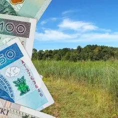 Polskie banknoty 50 i 100 zł leżą na tle zielonej łąki i lasu. Zastanawiasz się, ile kosztuje 1 ha łąki?