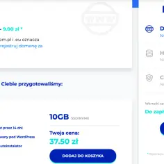 Jak wykupić domenę na własność i uniknąć zbędnych kosztów