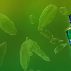 Butelka Becherovki na zielonym tle z kardamonem. Jak pić ten ziołowy likier? Czysty, z lodem lub jako dodatek do drinków.