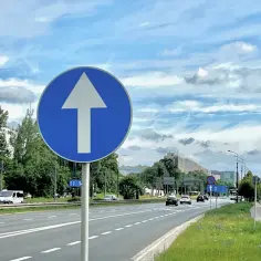 Niebieski okrąg z białym pionowym znakiem c5 informuje o ruchu jednokierunkowym. Droga z samochodami i zielenią pod błękitnym niebem.