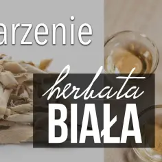 Idealna biała herbata krok po kroku. Poznaj sekretne sposoby parzenia