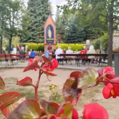 Kwiaty przed kapliczką w Gietrzwałdzie. Ludzie siedzą na ławkach, słuchając. Atrakcje tego miejsca przyciągają pielgrzymów.