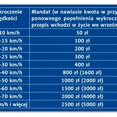 Tabela mandatów za przekroczenie prędkości. Nawet na drodze dwujezdniowej warto przestrzegać przepisów, by uniknąć wysokich kar.