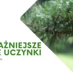 Jakie są najważniejsze dobre uczynki? Oto aż 5 kluczowych praktyk