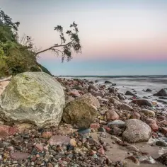 Kamienista plaża w Wolińskim Parku Narodowym, z wielkimi głazami i drzewem pochylonym nad morzem. Ciekawostki przyrodnicze tego miejsca zachwycają.