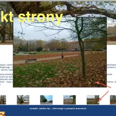 Jak zrobić galerię HTML: proste kroki do stworzenia efektownej galerii