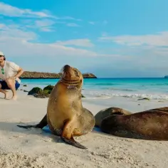 Rodzina na plaży z lwami morskimi. Ciekawostki z Wysp Galapagos: zwierzęta są tu bardzo przyjazne.