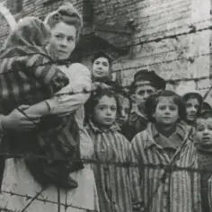 Ile osób zginęło w Auschwitz? Szokujące fakty o ofiarach obozu