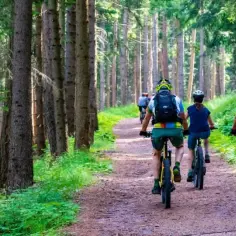 Najlepsze trasy rowerowe w Roztoczańskim Parku Narodowym – trudności i długości