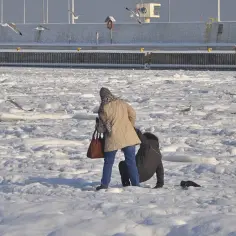 Ludzie spacerują po zamarzniętej Zatoce Gdańskiej, przypominając sobie, kiedy ostatnio zatoka zamarzła. Ptaki krążą nad lodem.