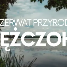 Rezerwat Łężczok: Przewodnik po perle Śląska i raju dla ptaków