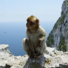 Gibraltar: dowód czy paszport? Sprawdź, co jest potrzebne do wjazdu